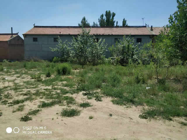 �̰�ţ����Ȫ��ȸ�ǹ������س��� ���� ����