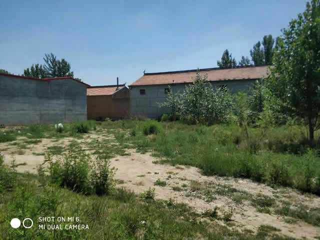 �̰�ţ����Ȫ��ȸ�ǹ������س��� ���� ����