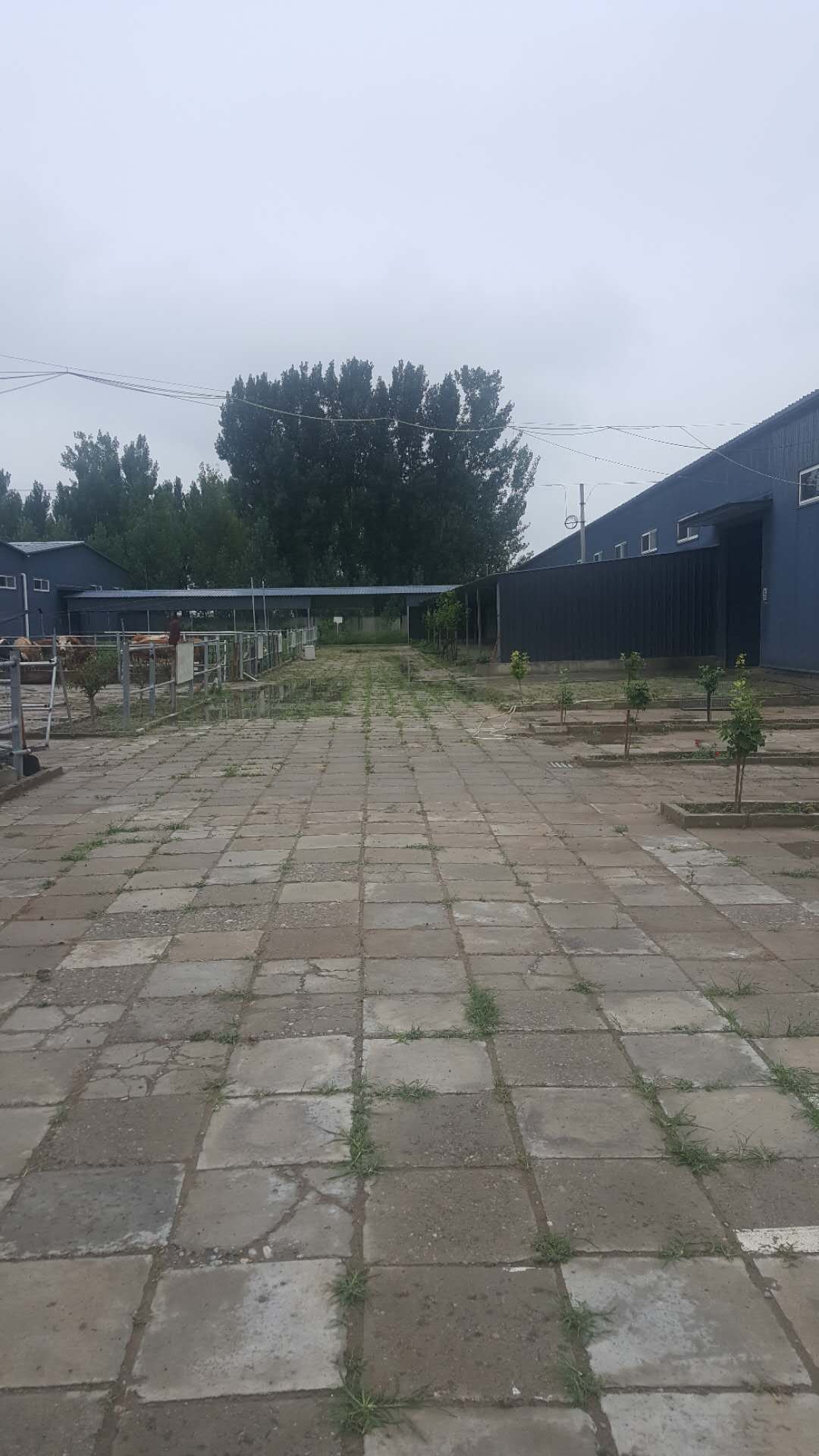 个人诚信出租涿州库房
